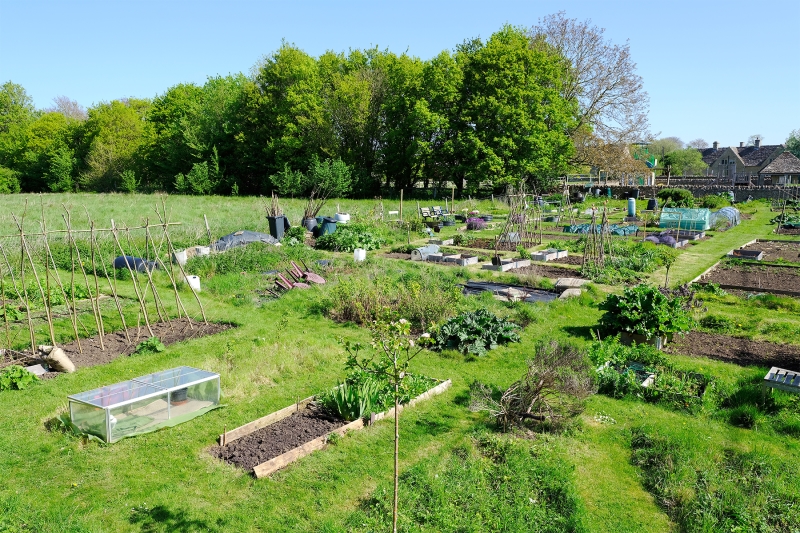 Filkins Allotments